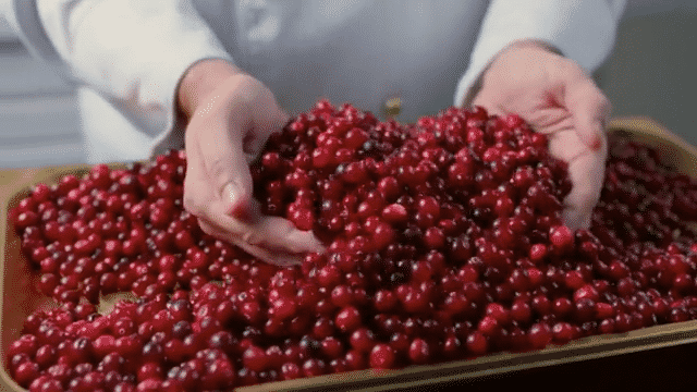 TVC Tết 2024 Danisa Cranberry: Món quà lý tưởng, Tỏ bày tri ân