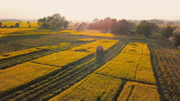 Phim Tết 2023 Knorr: Bí quyết hương vị làm nên hồn Tết (Tập 2)