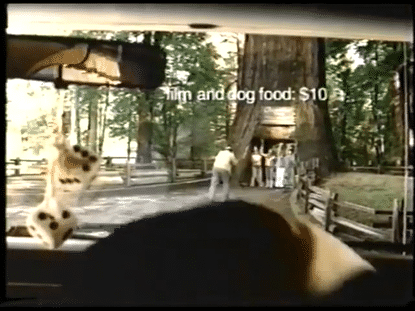 MasterCard Priceless: Lost Dog (P1) (2004)