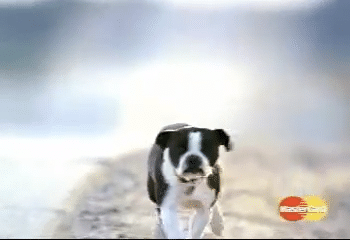MasterCard Priceless: Home (P3) (2004)