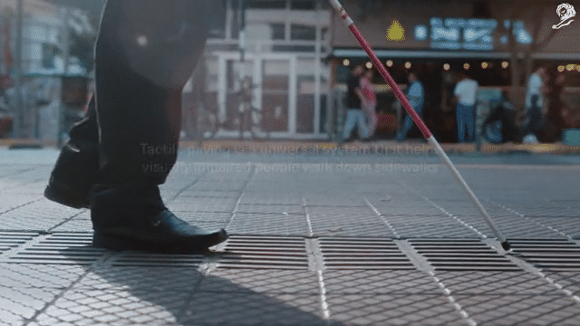 Case Film Sol Cement: “Sightwalks