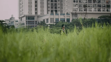 MV Tết 2025: Triệu điều nhỏ xíu xiêu lòng (Đen ft. Kim Long x Đường Biên Hoà)
