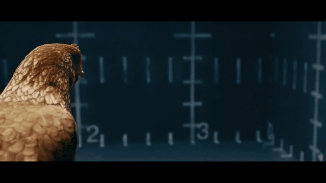 TVC Mercedes Benz: Magic Body Control