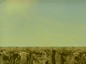 TVC Nissin Cup-O-Noodle: Moa Ostrich