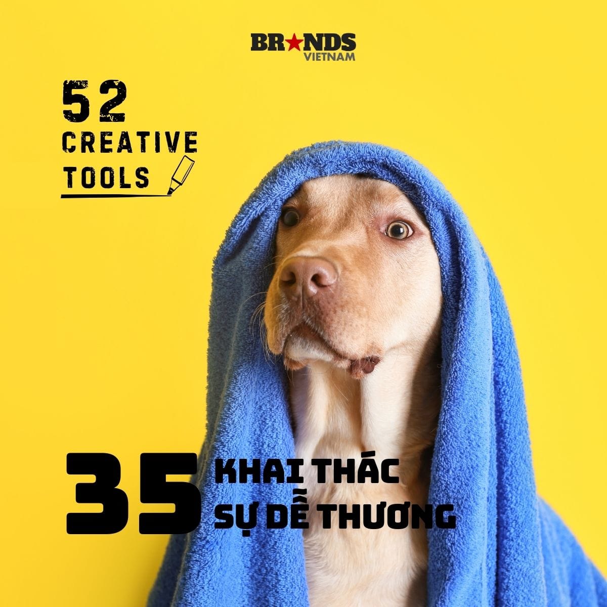 Khai thác sự dễ thương