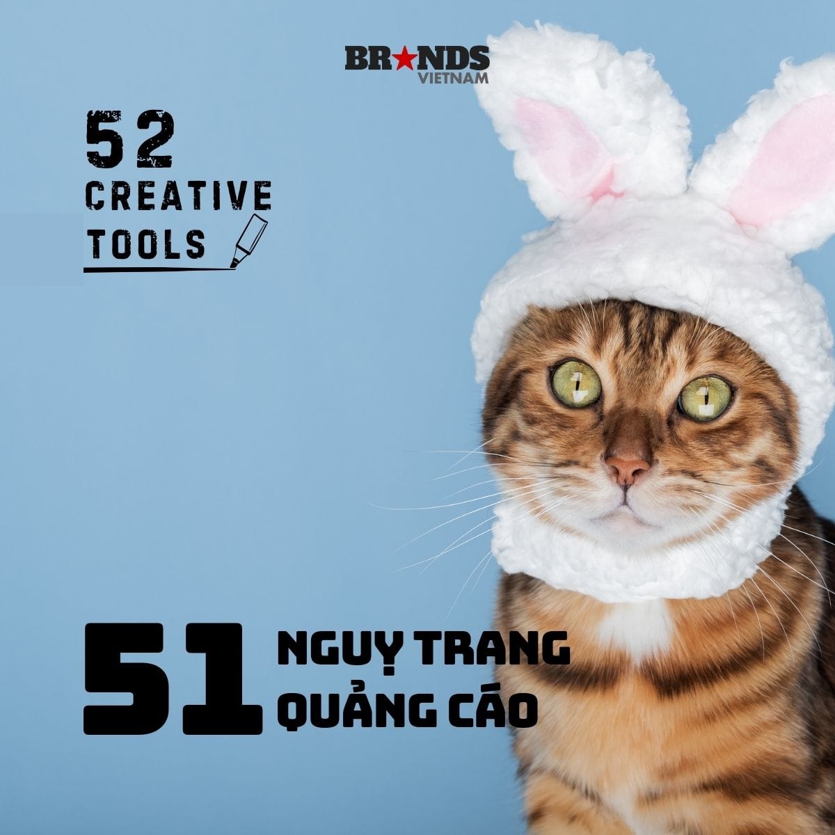 Nguỵ trang cho quảng cáo