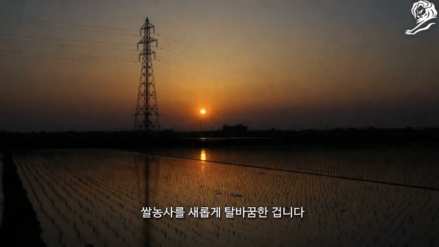 Case Film Inakadate Village: Rice-code
