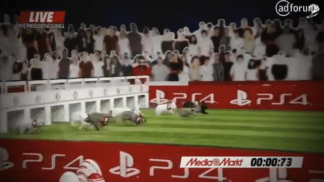 Case Film Media Mart: Rabbit Race