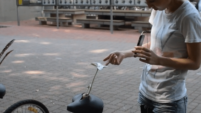 Case Film COGOO: Saddle Blossoms